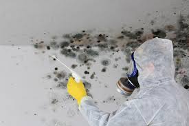 Best Industrial Mold Remediation in Byesville, OH